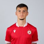 Теодор Апостолов