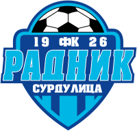 Радник (Сурдулица)
