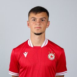 Теодор Апостолов