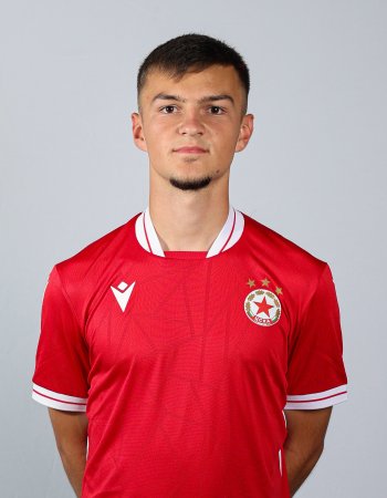 Теодор Апостолов