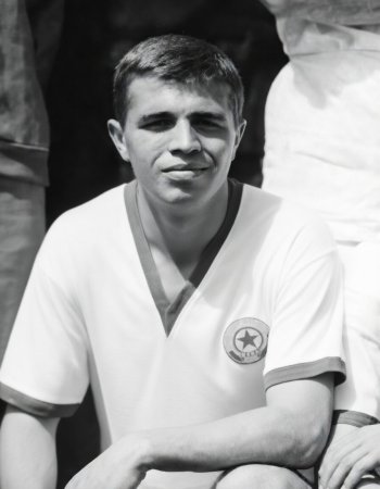 Стоян Стоянов